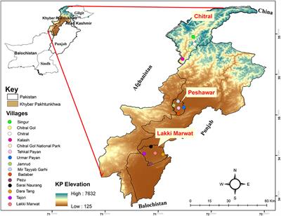 Life Cycle and Genetic Identification of Argas persicus Infesting Domestic Fowl in Khyber Pakhtunkhwa, Pakistan